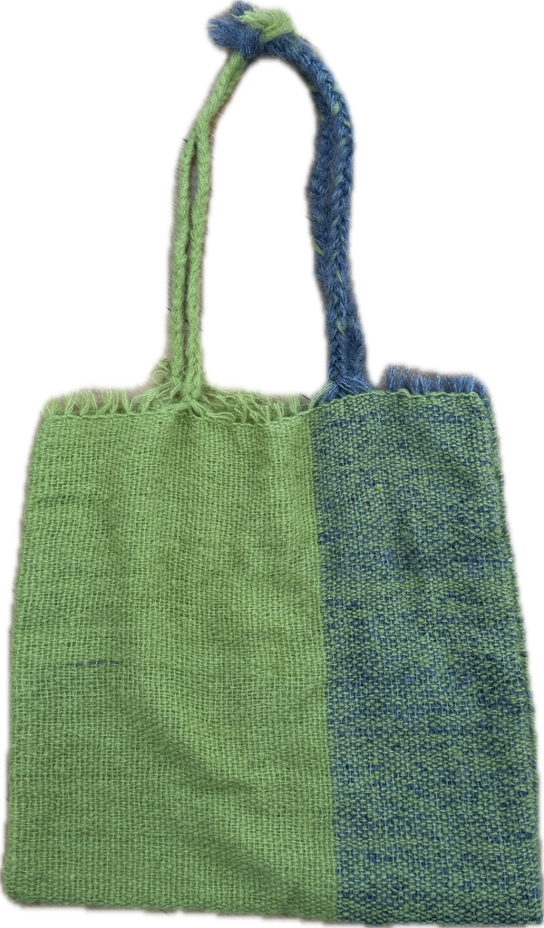 ANNA FIEDLER X FRISSON BAG 2
